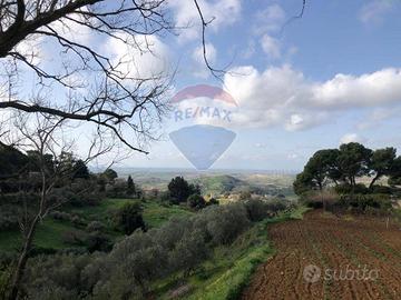 Terreno Edificabile - Salemi