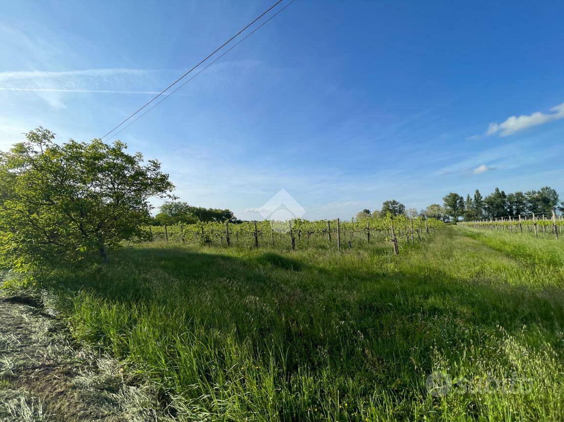 TER. AGRICOLO A CARPI - Vista 5