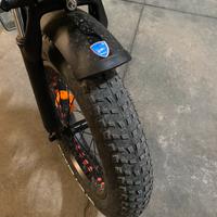 Biciclette elettrica