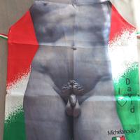 Grembiule David di Michelangelo.