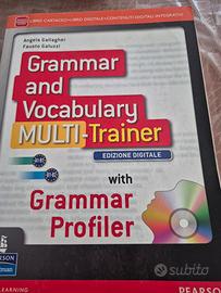 grammar and vocabulary