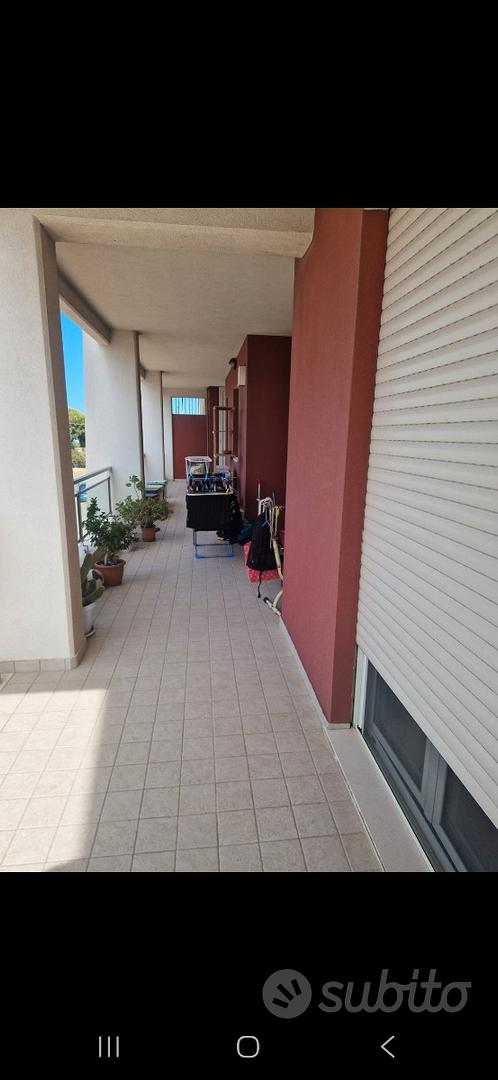 Appartamento – Termoli, Campobasso - Vista 3
