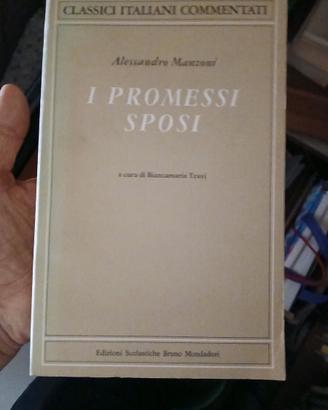 I promessi sposi