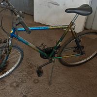 bicicletta mountain  bike