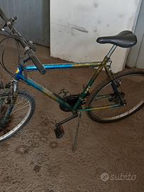bicicletta mountain  bike