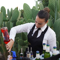 Bartender/barlady