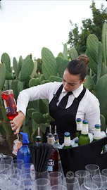 Bartender/barlady