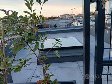Appartamento di 35 mq con terrazzo