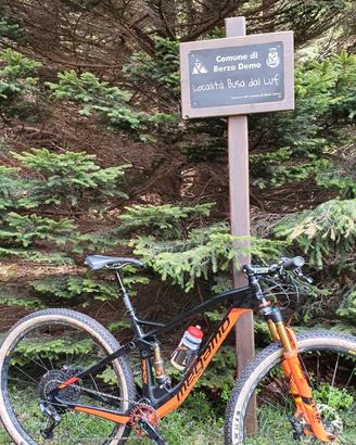 MTB Megamo 29