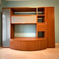 Mobile da sala con ante in vetro satinato