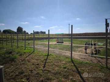 Pali di cemento con anima di ferro