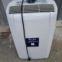 Condizionatore pinguino