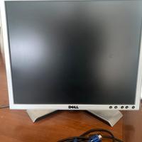 Monitor DELL 19" per PC