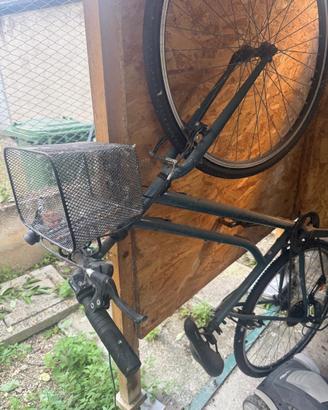 Bici Donna