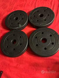 Lotto 4 Dischi Peso da 2kg per Home Gym