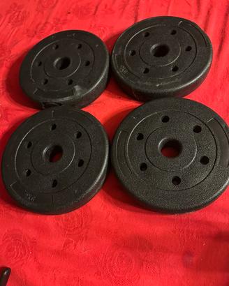 Lotto 4 Dischi Peso da 2kg per Home Gym