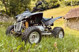 Quad 300 SMC (Standard Mot. Co)