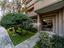 Immagine 27