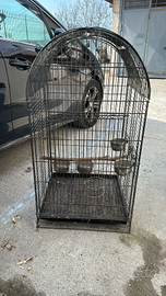Trasportino per grandi pappagalli e per cane