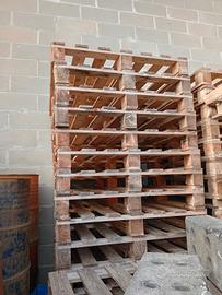 bacali legno  120/80