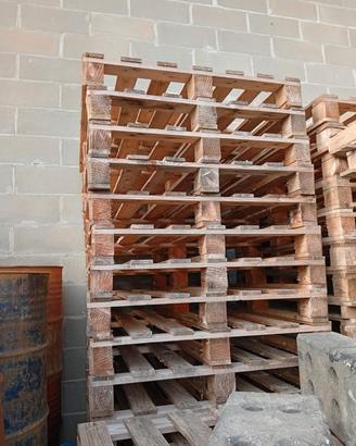 bacali legno  120/80