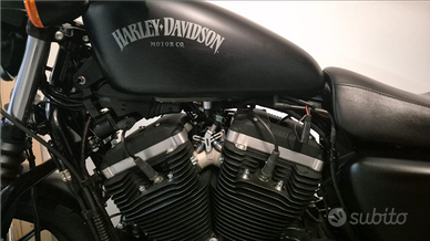 Harley davidson 883 iron