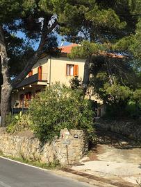 Cilento Appartamenti in villa