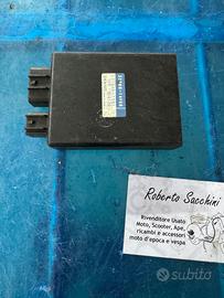 Centralina burgman 400