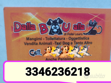 Attività commerciale Toilettature