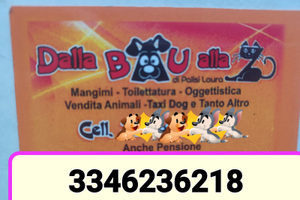 Attività commerciale Toilettature