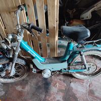 motorino Benelli