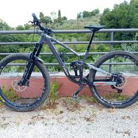 Trek fuel ex 2024