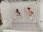 Immagine 6