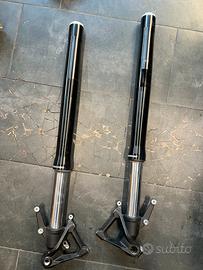 Forcella triumph tiger 900 gt/gt pro