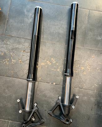 Forcella triumph tiger 900 gt/gt pro