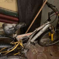 Bici 20”/24”