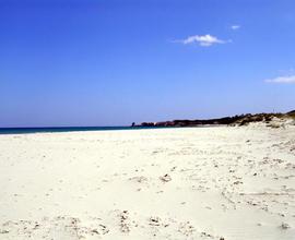 Vicino a grande spiaggia di sabbia bianca