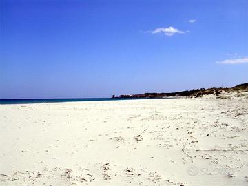 Vicino a grande spiaggia di sabbia bianca