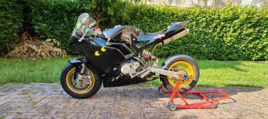 Ayrton suprema