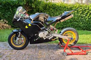 Ayrton suprema