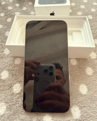 IPhone 13 Pro Max 256