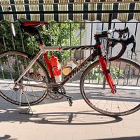 wilier triestina 10 v