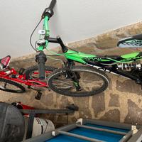 2 bici fino a 12 anni