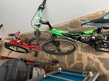 2 bici fino a 12 anni