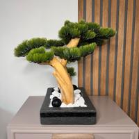 Bonsai arte  design 