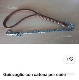 Guinzaglio con catena per cane
