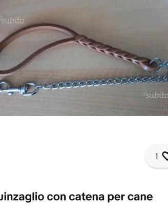 Guinzaglio con catena per cane