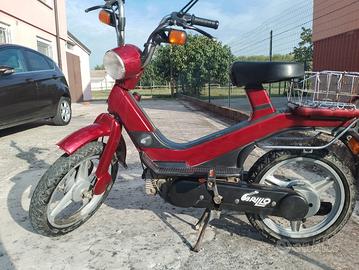 Piaggio Grillo