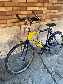 Bicicletta sambi funzionante