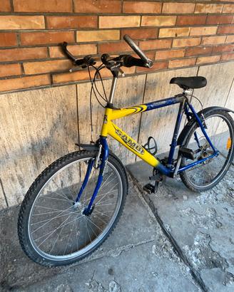 Bicicletta sambi funzionante